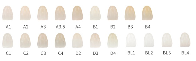 Bloco-Duo-Multilayer-dentista-cores